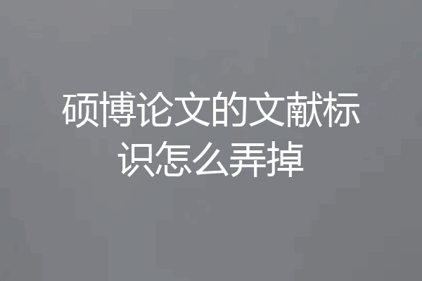 硕博论文的文献标识怎么弄掉
