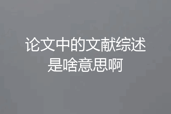 论文中的文献综述是啥意思啊