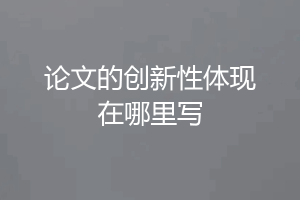 论文的创新性体现在哪里写