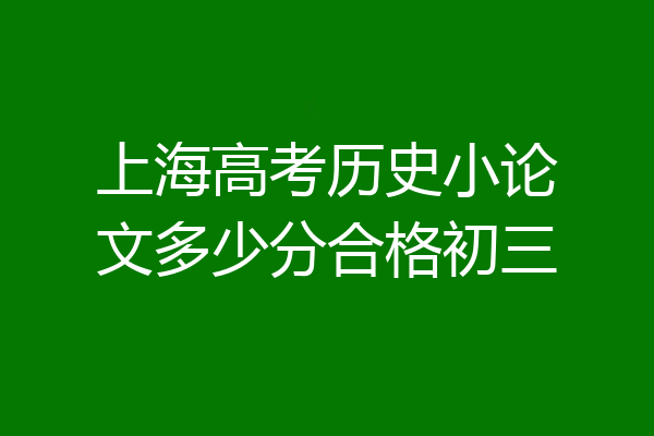 上海高考历史小论文多少分合格初三
