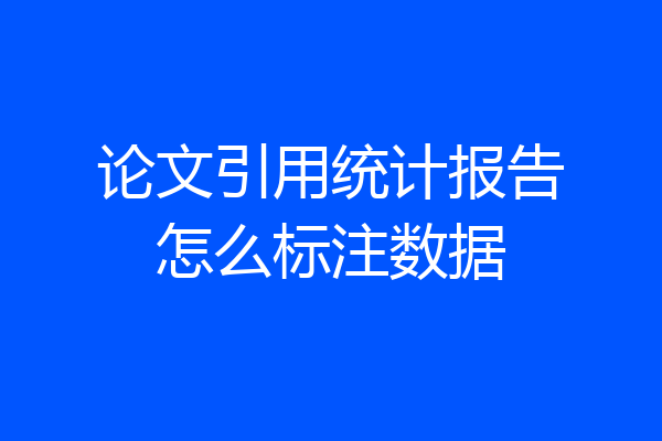 论文引用统计报告怎么标注数据