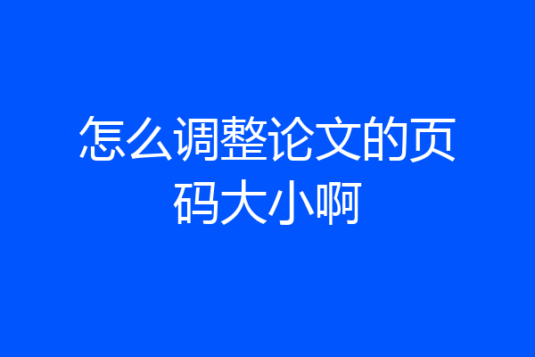 怎么调整论文的页码大小啊