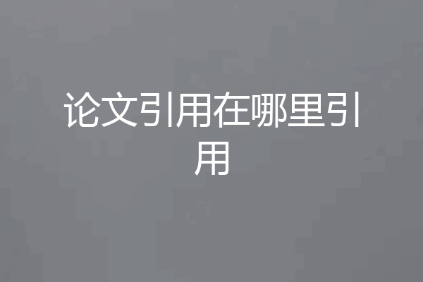 论文引用在哪里引用