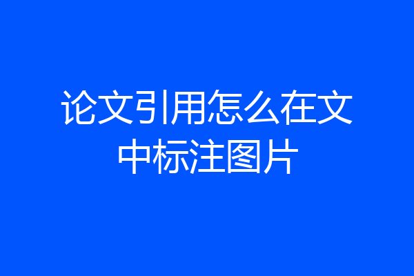 论文引用怎么在文中标注图片