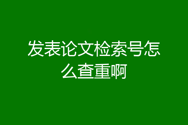 发表论文检索号怎么查重啊