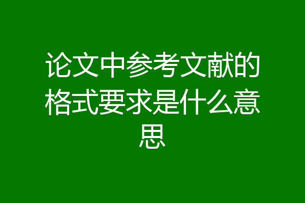 论文中参考文献的格式要求是什么意思