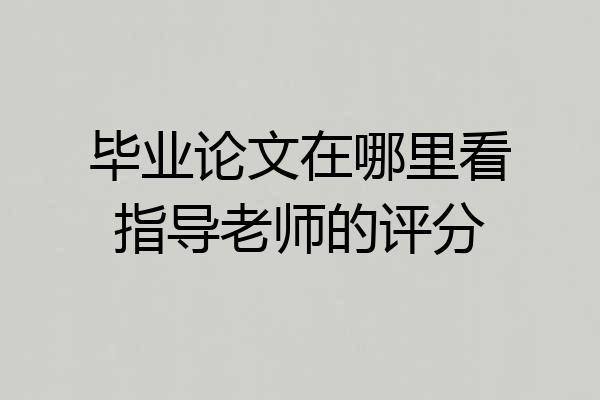 毕业论文在哪里看指导老师的评分