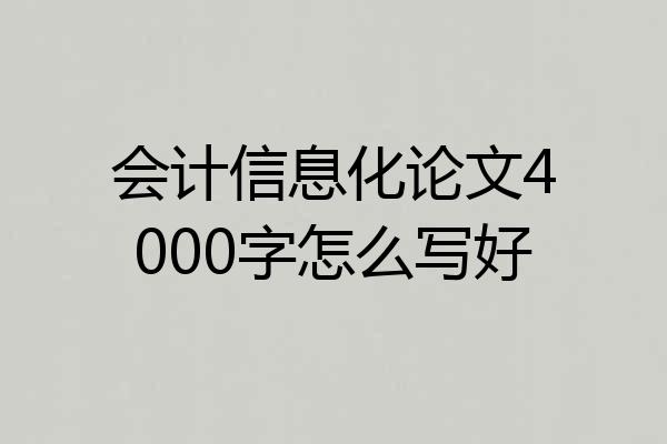 会计信息化论文4000字怎么写好