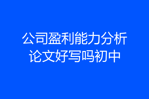 公司盈利能力分析论文好写吗初中