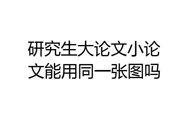 研究生大论文小论文能用同一张图吗
