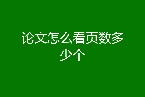 论文怎么看页数多少个