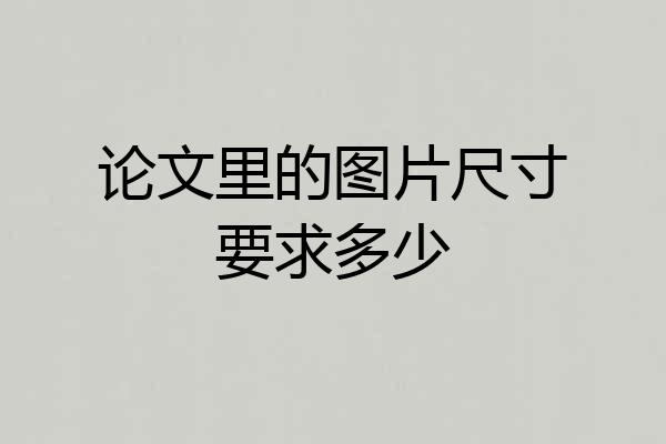论文里的图片尺寸要求多少