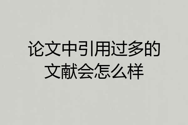 论文中引用过多的文献会怎么样