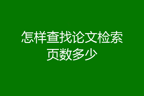 怎样查找论文检索页数多少