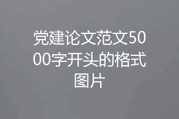 党建论文范文5000字开头的格式图片