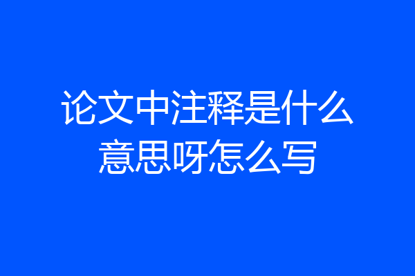 论文中注释是什么意思呀怎么写