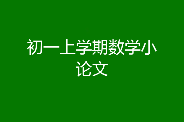初一上学期数学小论文