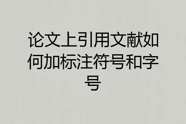 论文上引用文献如何加标注符号和字号