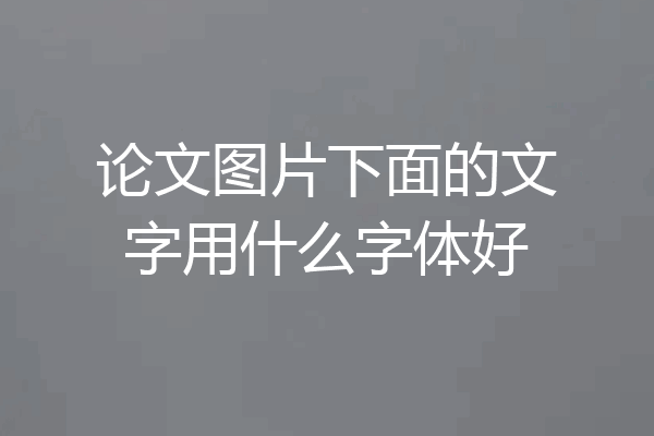 论文图片下面的文字用什么字体好