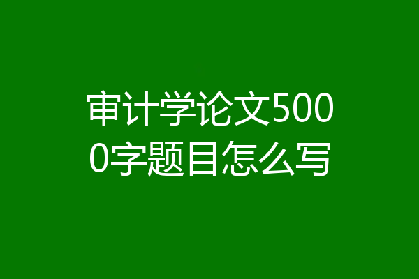 审计学论文5000字题目怎么写