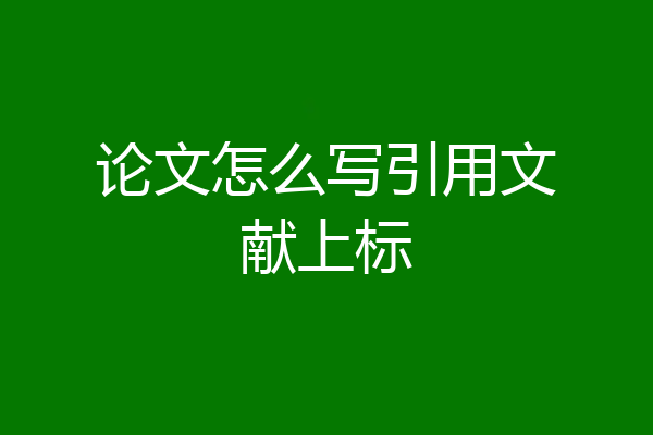 论文怎么写引用文献上标