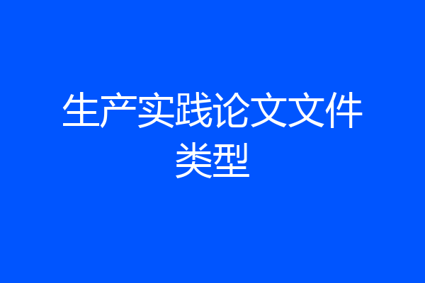 生产实践论文文件类型