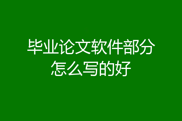 毕业论文软件部分怎么写的好