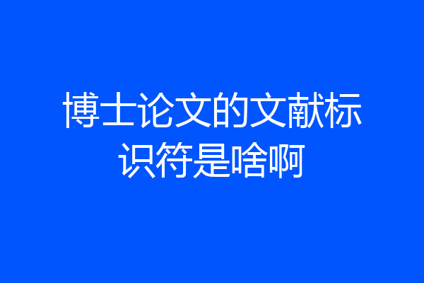 博士论文的文献标识符是啥啊