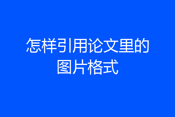 怎样引用论文里的图片格式