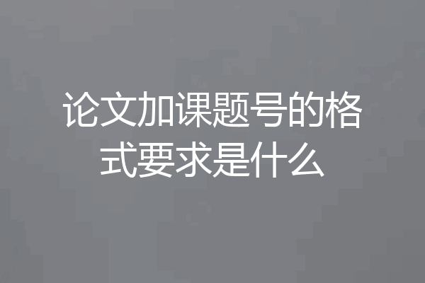 论文加课题号的格式要求是什么