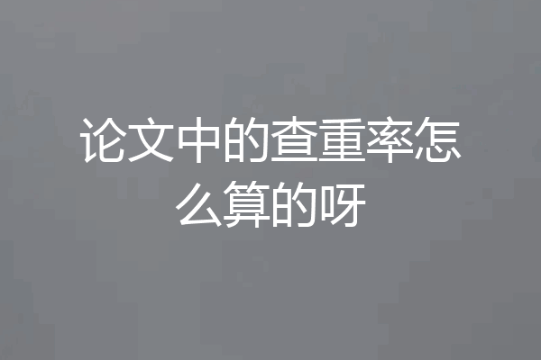 论文中的查重率怎么算的呀