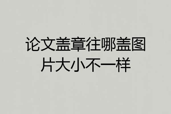 论文盖章往哪盖图片大小不一样
