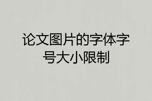 论文图片的字体字号大小限制