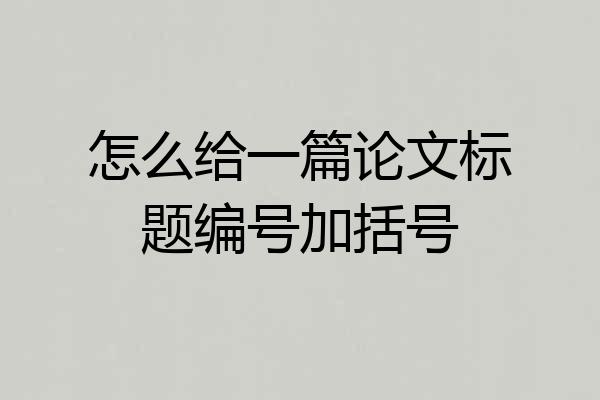 怎么给一篇论文标题编号加括号