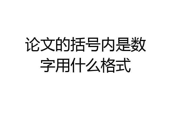 论文的括号内是数字用什么格式