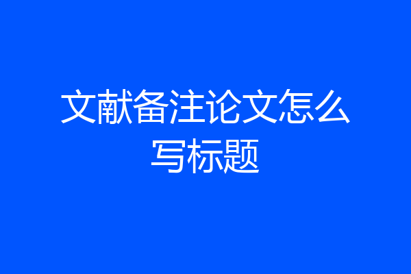 文献备注论文怎么写标题