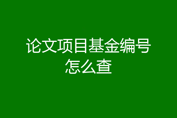 论文项目基金编号怎么查