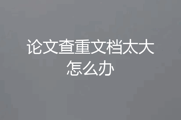 论文查重文档太大怎么办