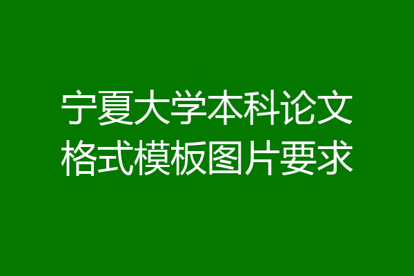 宁夏大学本科论文格式模板图片要求
