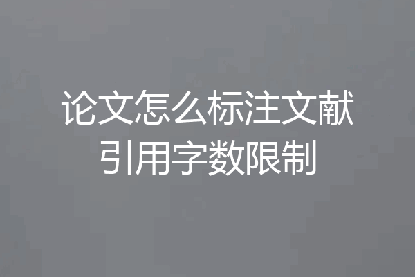 论文怎么标注文献引用字数限制