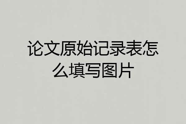 论文原始记录表怎么填写图片
