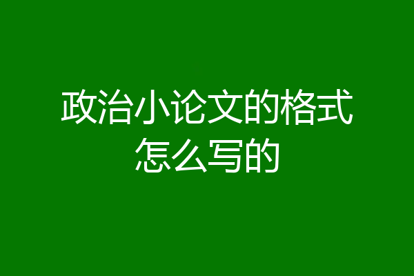 政治小论文的格式怎么写的