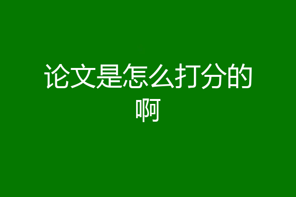 论文是怎么打分的啊