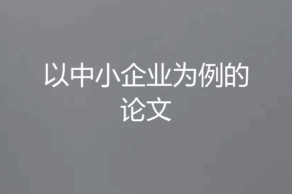 以中小企业为例的论文