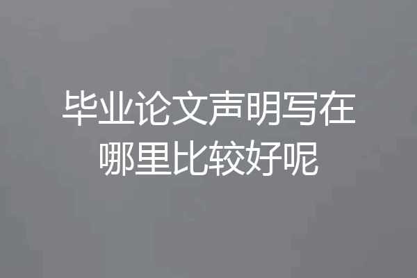毕业论文声明写在哪里比较好呢