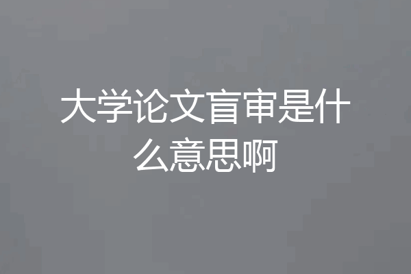 大学论文盲审是什么意思啊