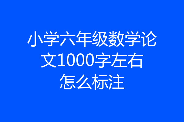 小学六年级数学论文1000字左右怎么标注