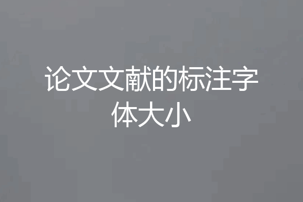 论文文献的标注字体大小