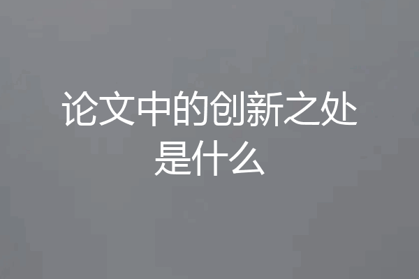 论文中的创新之处是什么