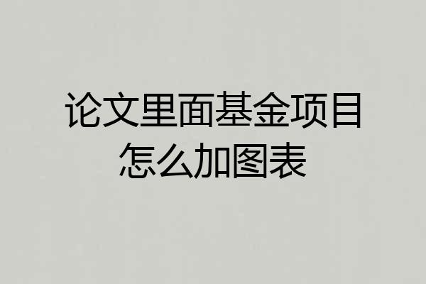 论文里面基金项目怎么加图表